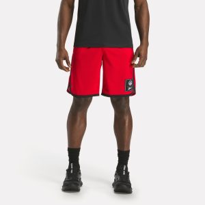 Men's Basketball Mesh Shorts